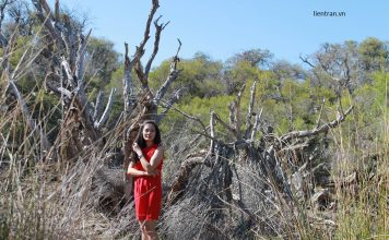 901 LÝ DO CON GÁI MIỀN BẮC KHÔNG NÊN LẤY TRAI ÚC