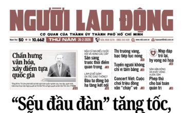 Nâng chất môi trường kinh doanh